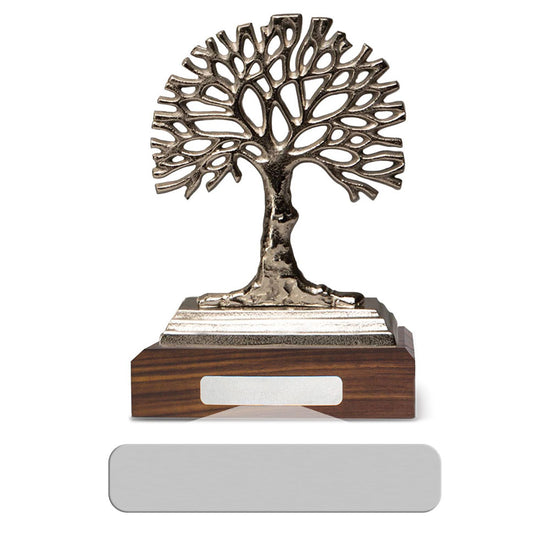 Seeds Of Knowledge Tree Base Award