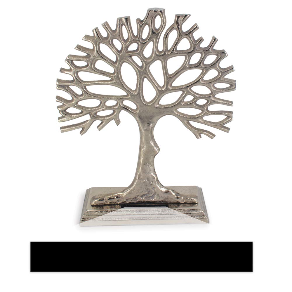 Seeds Of Knowledge Large Tree Award