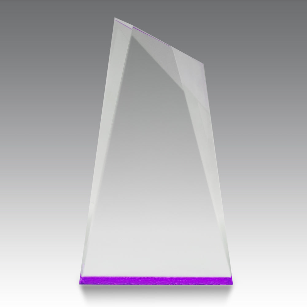 Colorful Acrylic Summit Award