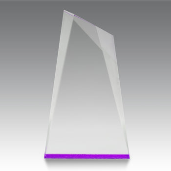 Colorful Acrylic Summit Award