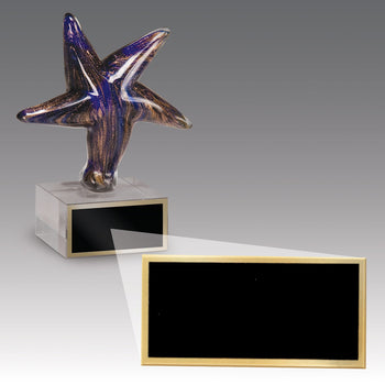 Starfish Art Glass Award