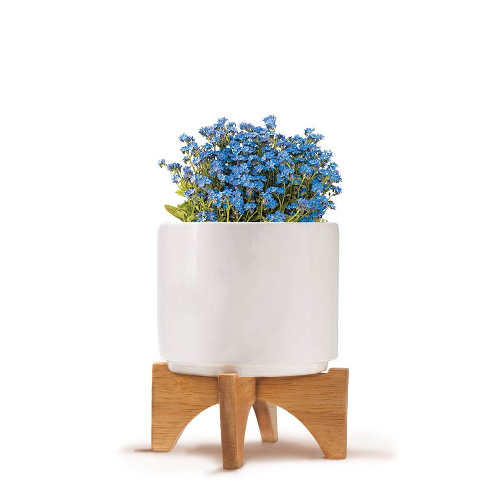 Custom Modern Ceramic Grow Kit