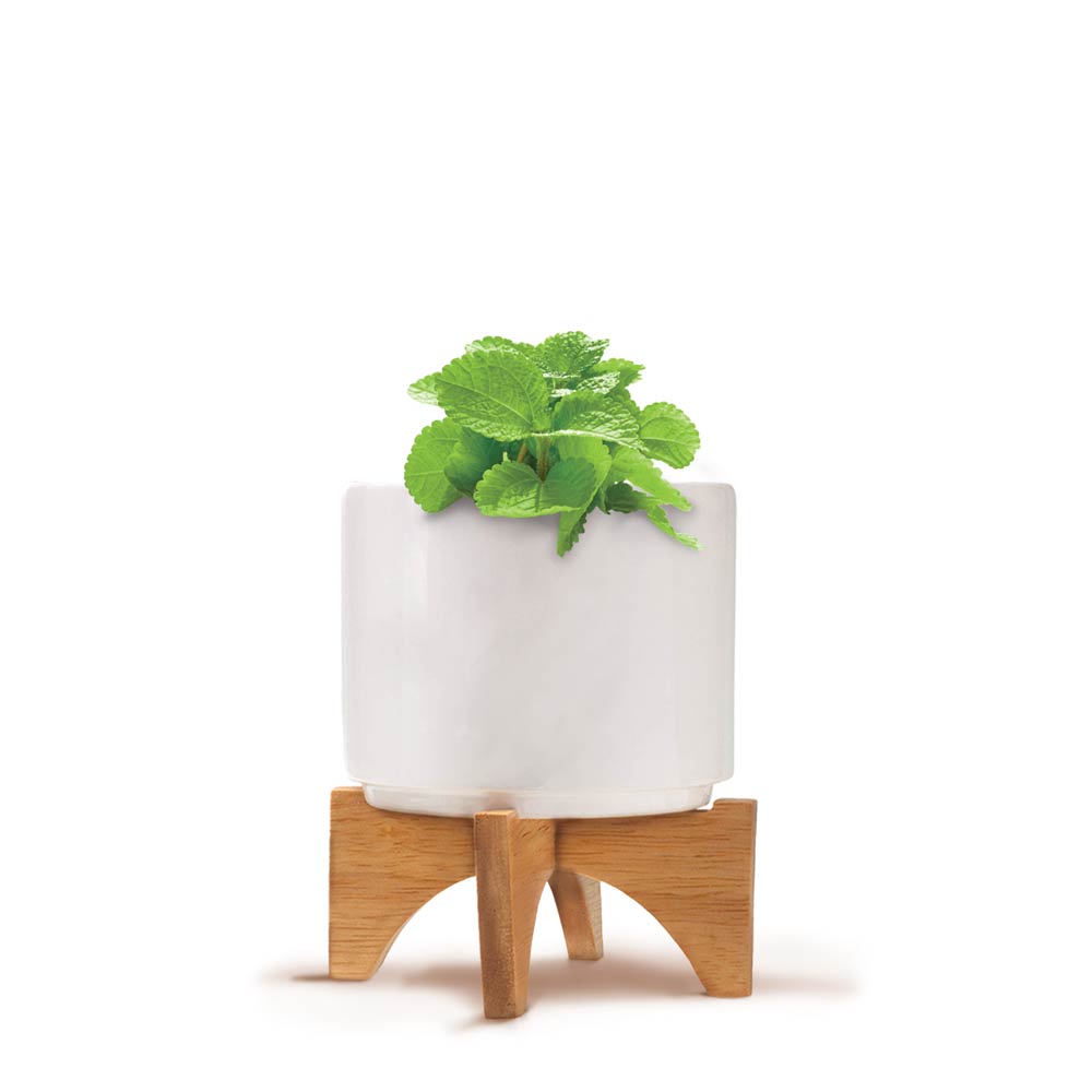 Custom Modern Ceramic Grow Kit