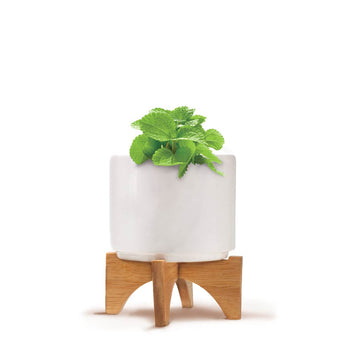 Custom Modern Ceramic Grow Kit