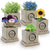 Custom stone cube grow kit with cement planter, drainage hole, drip tray, seeds, and coconut coir pellets.