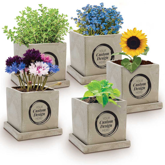 Custom stone cube grow kit with cement planter, drainage hole, drip tray, seeds, and coconut coir pellets.