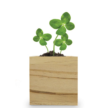 Custom Wooden Cube Grow Kit