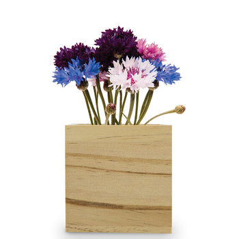 Custom Wooden Cube Grow Kit