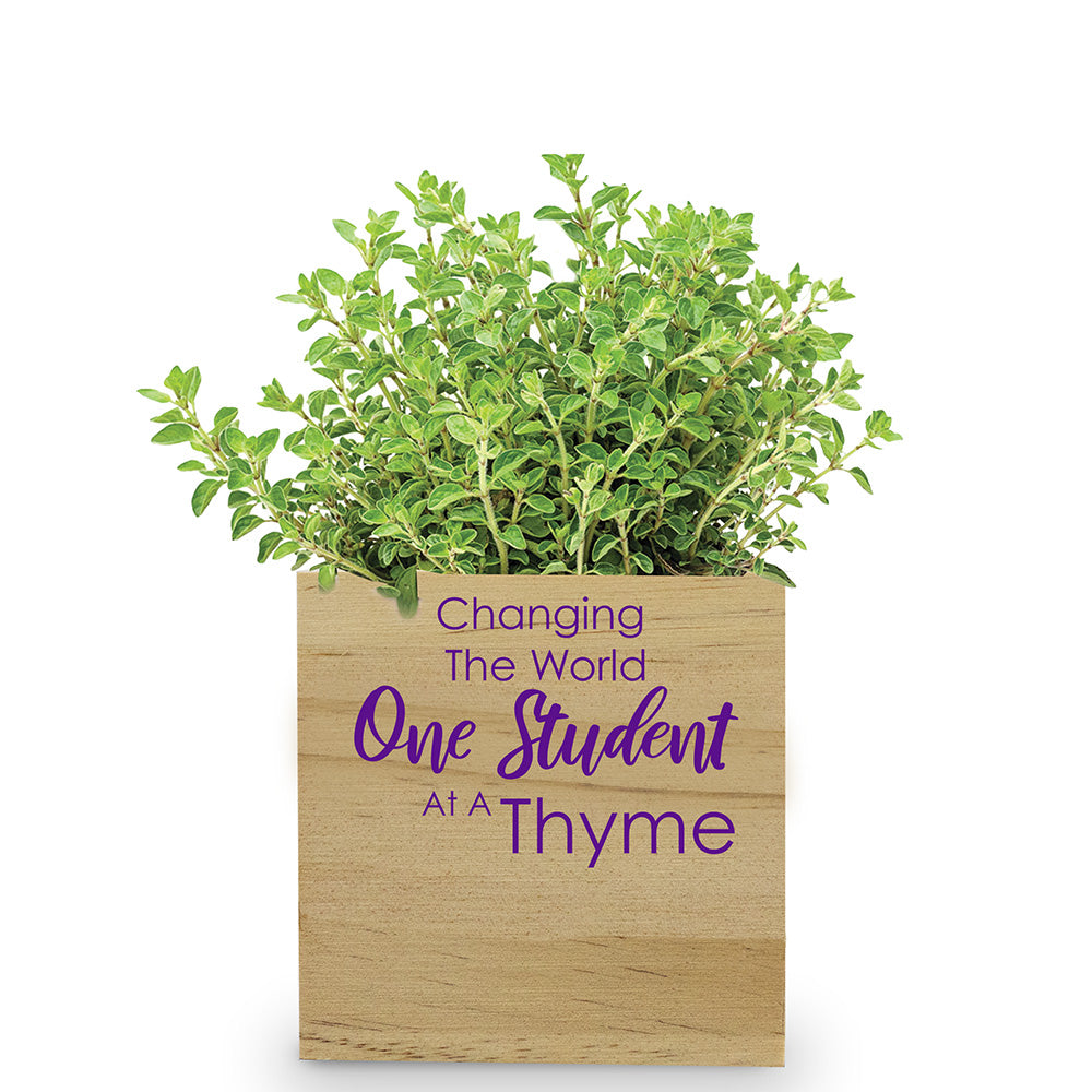 One Student At A Thyme Wooden Cube Plant Kit – Thyme
