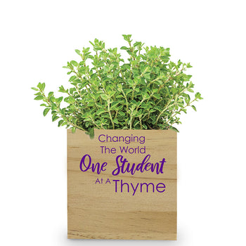 One Student At A Thyme Wooden Cube Plant Kit – Thyme