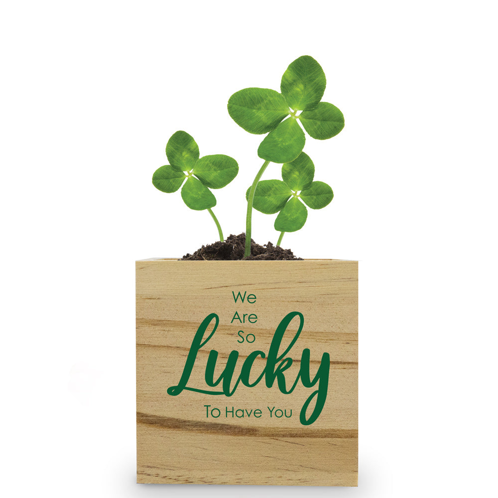 Lucky To Have You Wooden Cube Plant Kit – Clover