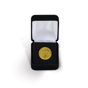 Custom Lapel Pins - Die Struck