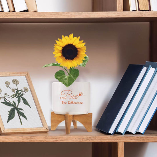 be the difference modern ceramic planter sitting on a shelf