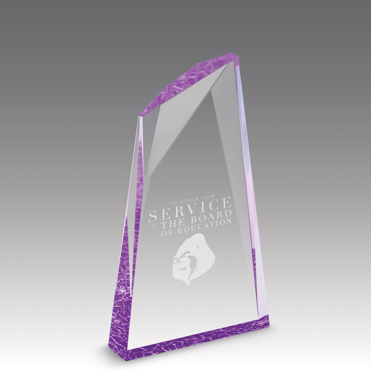 Colorful Acrylic Summit Award