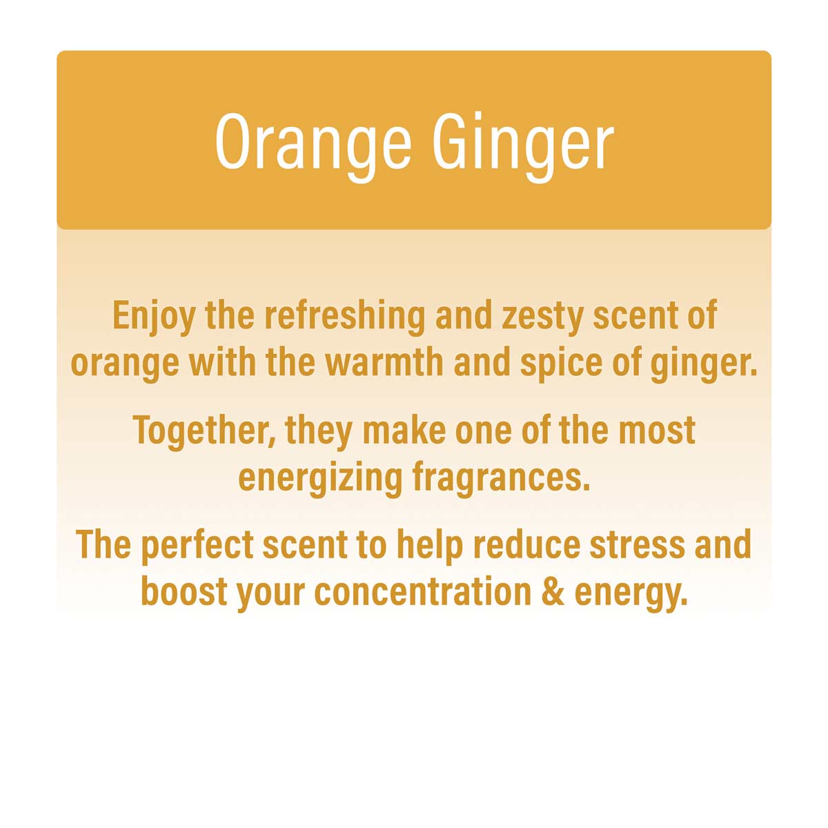orange ginger scent description - refreshing and zesty