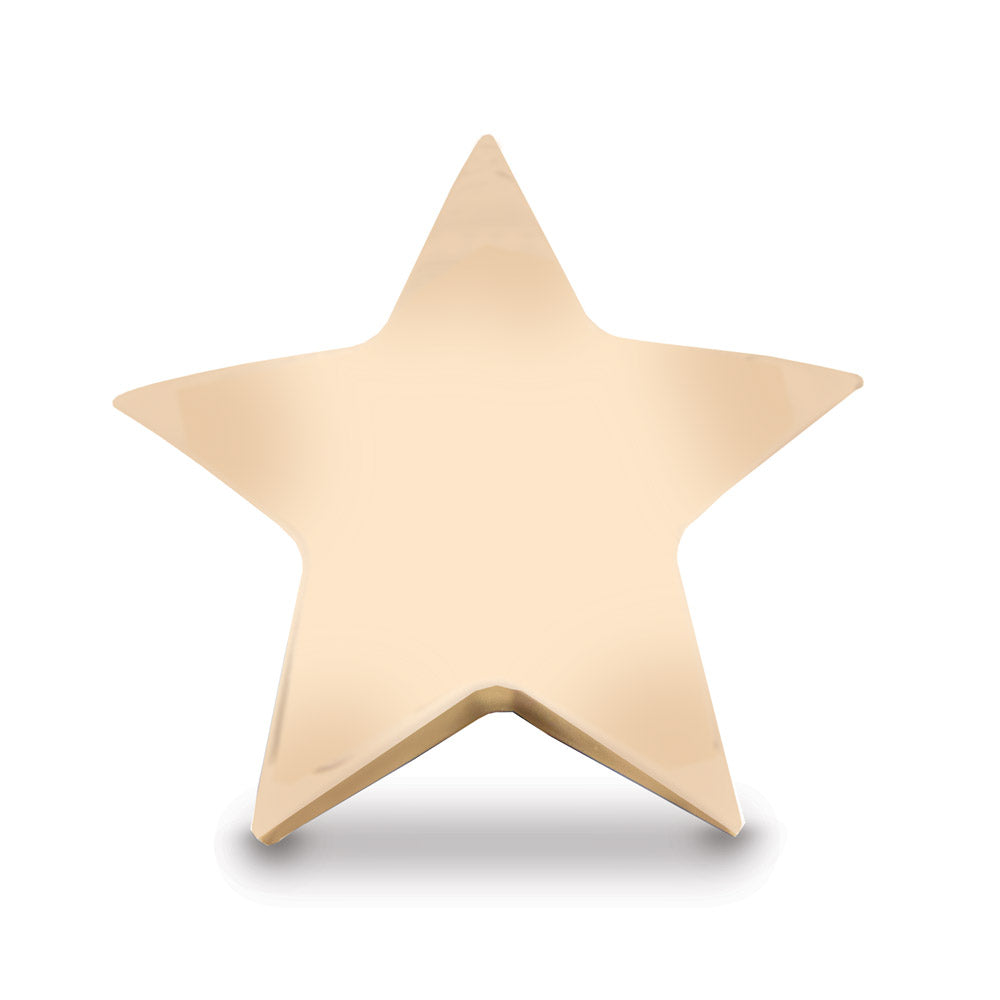 brass star paperweight 