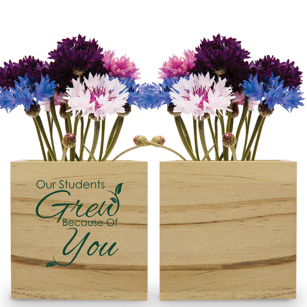 Our Students Grew Wooden Cube Flower Kit – Patriotic Flowers