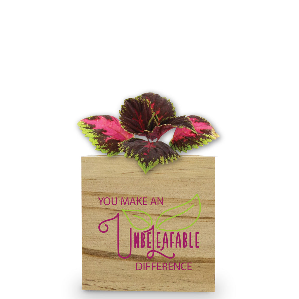 You Make An Unbe-leaf-able Difference Wooden Cube Plant Kit – Coleus