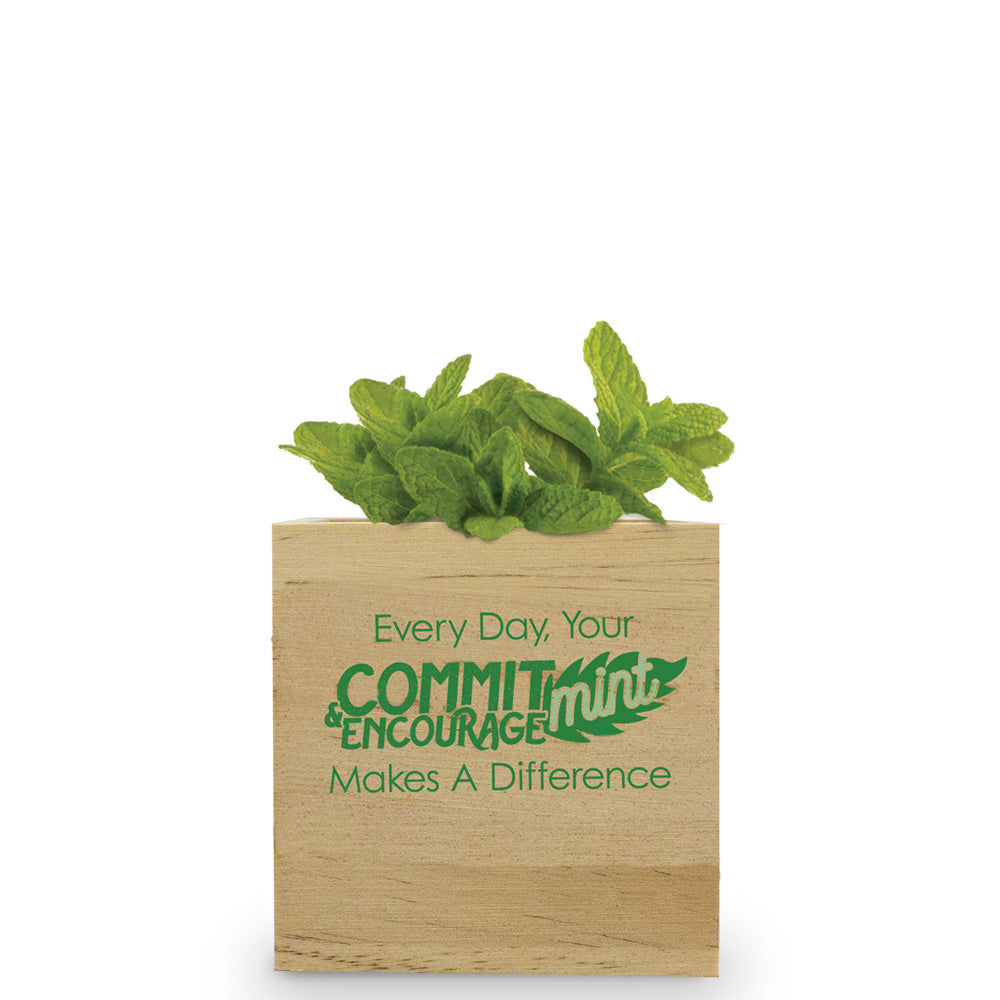 Your Commit-Mint & Encourage-Mint Wooden Cube Plant Kit – Mint