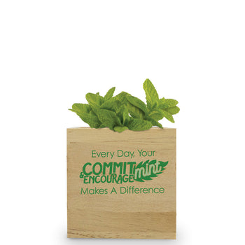 Your Commit-Mint & Encourage-Mint Wooden Cube Plant Kit – Mint