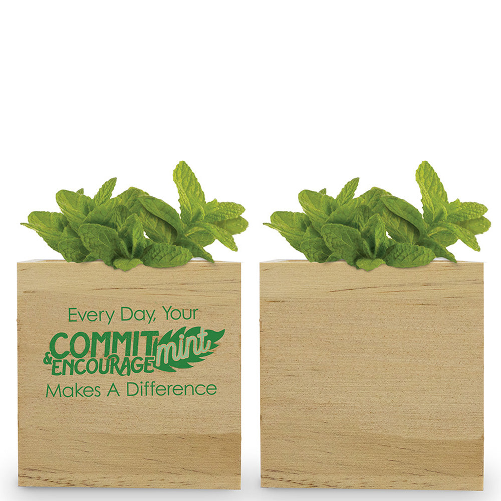 Your Commit-Mint & Encourage-Mint Wooden Cube Plant Kit – Mint