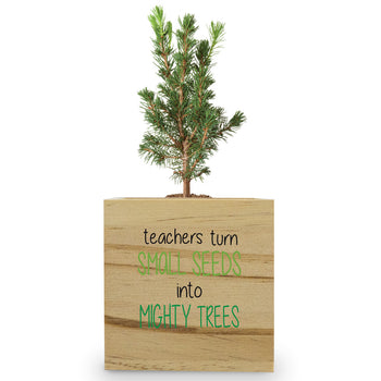 Teachers' Tree of Life Wooden Cube Tree Kit – Douglas Fir Tree