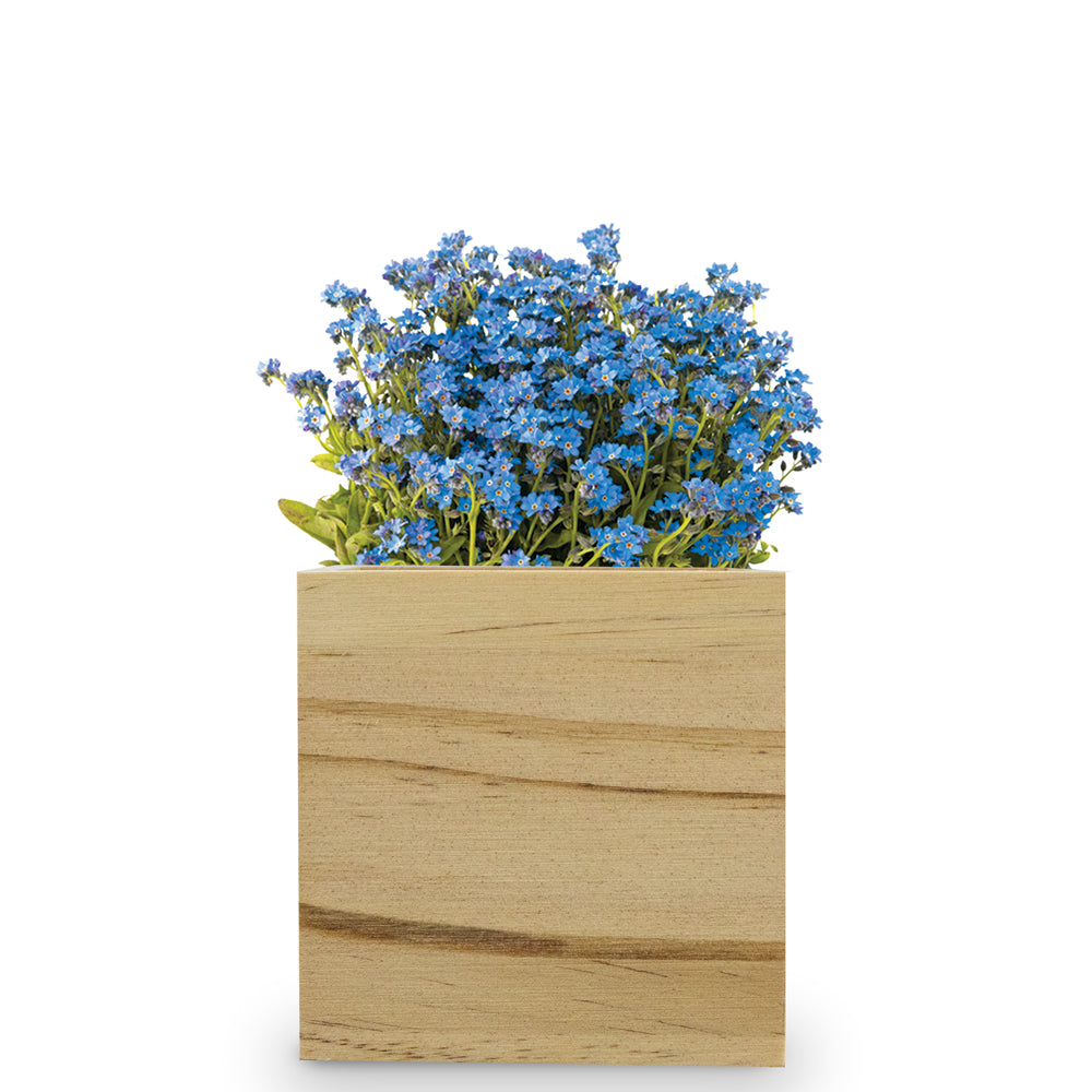 Custom Wooden Cube Grow Kit