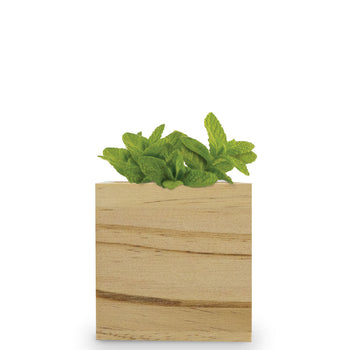Custom Wooden Cube Grow Kit