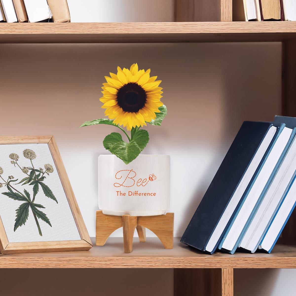 be the difference modern ceramic planter sitting on a shelf