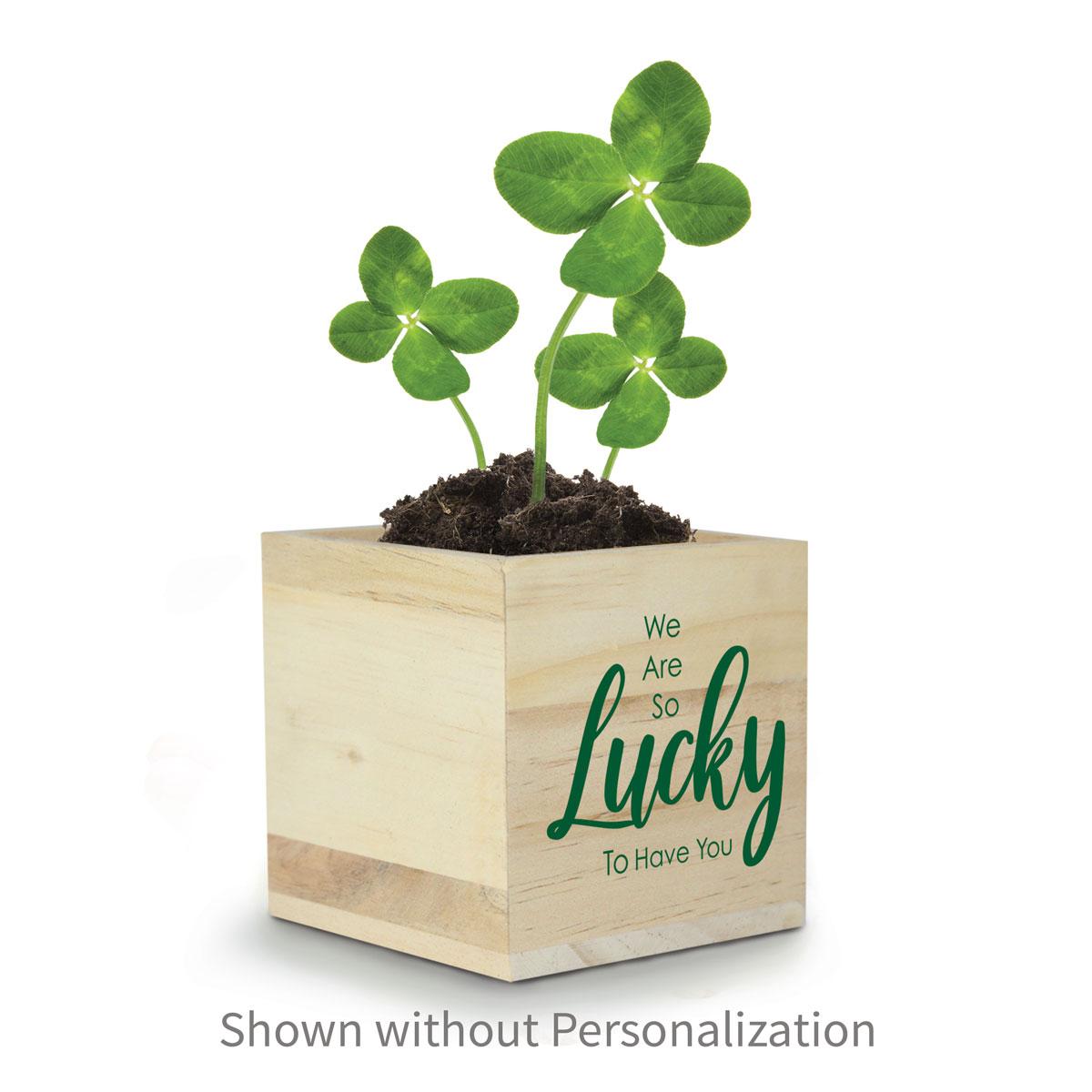 clover in a wooden cube with lucky message