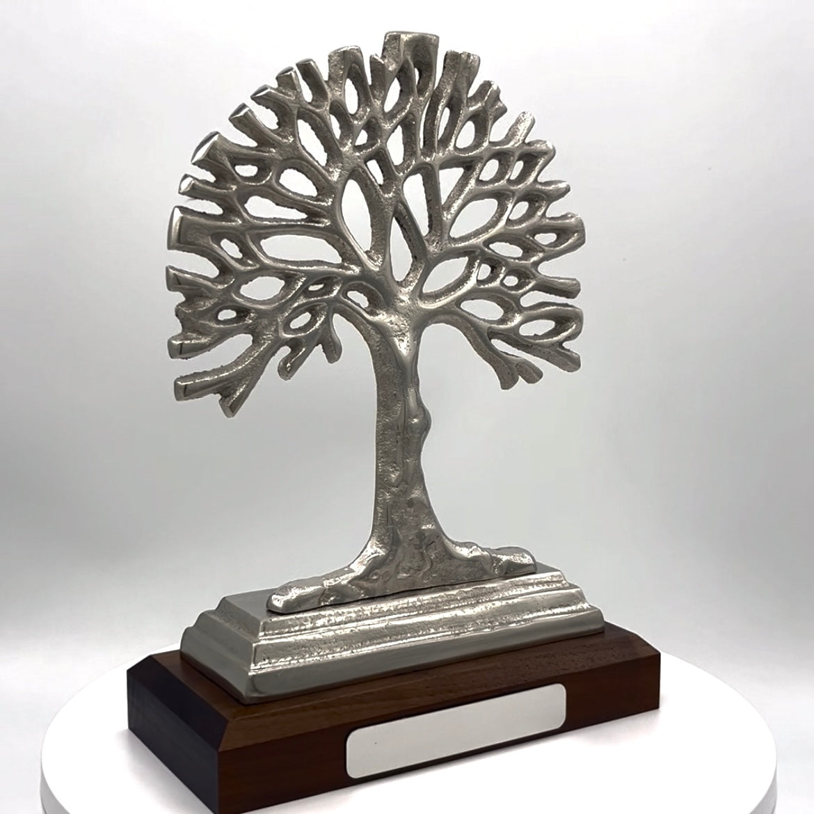 Seeds Of Knowledge Tree Base Award