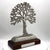 Seeds Of Knowledge Tree Base Award