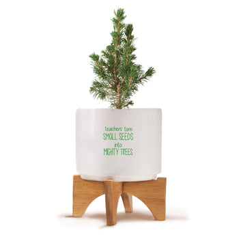 Two-piece bamboo stand with modern white ceramic planter featuring the inspirational message “Teachers Turn Small Seeds Into Mighty Trees.” Grows Douglas Fir Trees