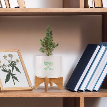 modern ceramic planter sitting on a shelf with message teacher's tree of life