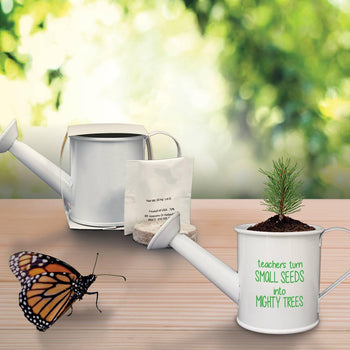douglas fir tree in mini watering can with a butterfly