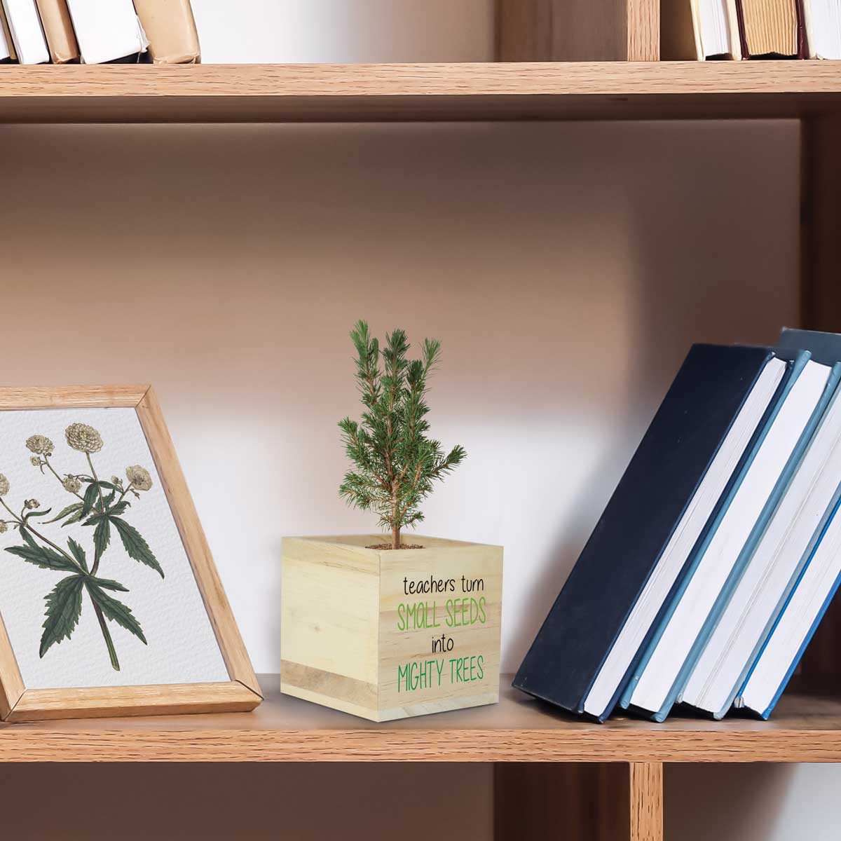 teacher's tree of life wooden cube sitting on a shelf