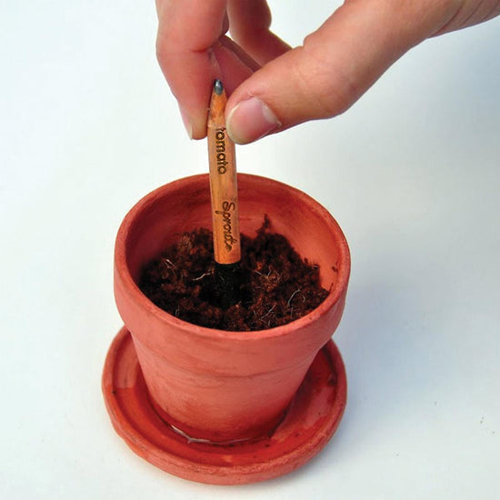 planted sow and grow pencil