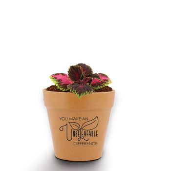A Mini Flower Pot Kit Features The Inspirational Message: You Make An Unbeleafable Difference. Grows Coleus.