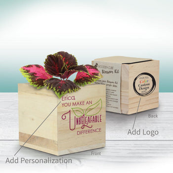 unbeleafable wooden cube plant kit with personalization and add you logo