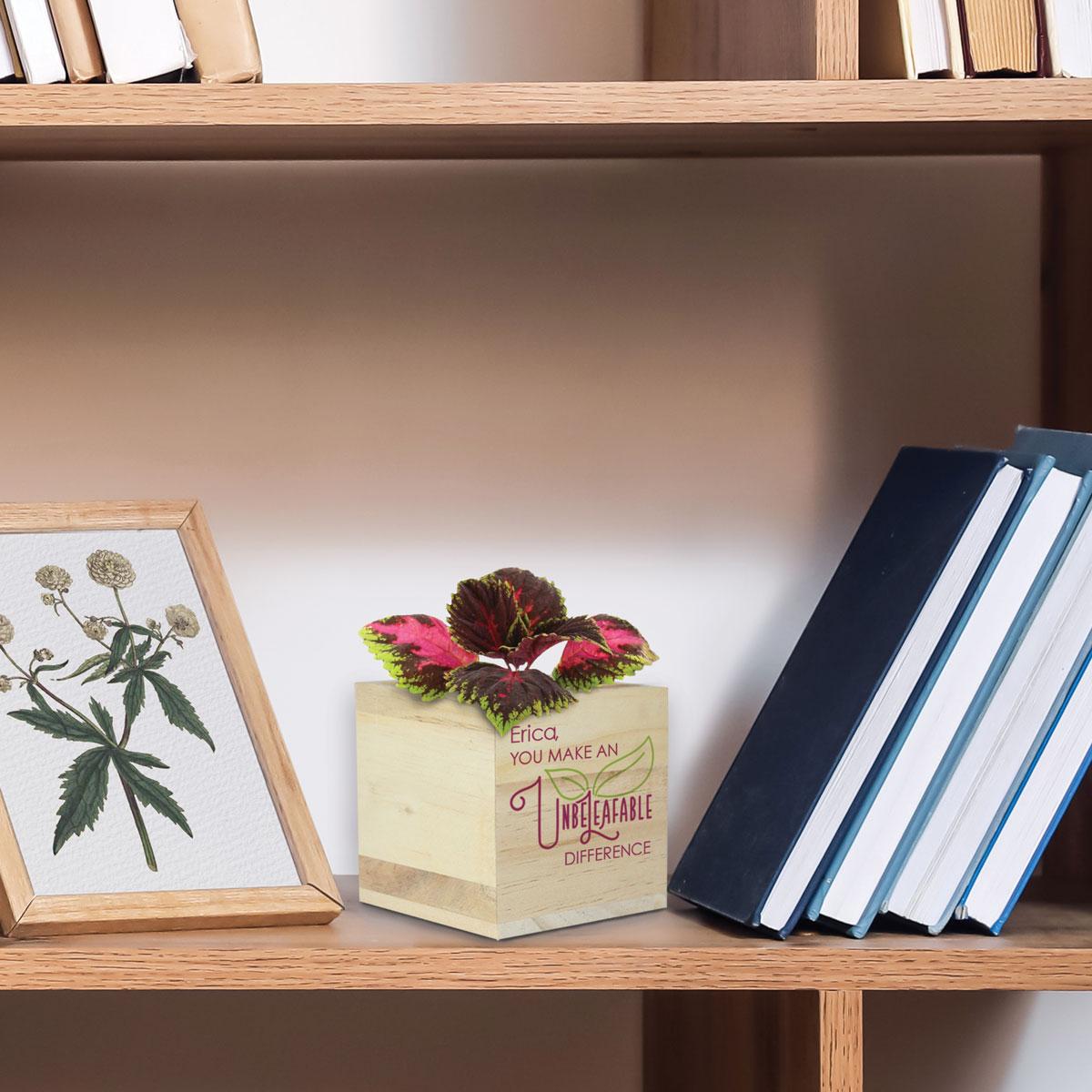 unbeleafable wooden cube sitting on a shelf