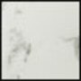 White Marble