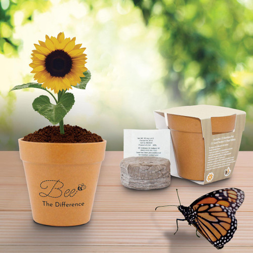 sunflower in flower pot with a butterfly