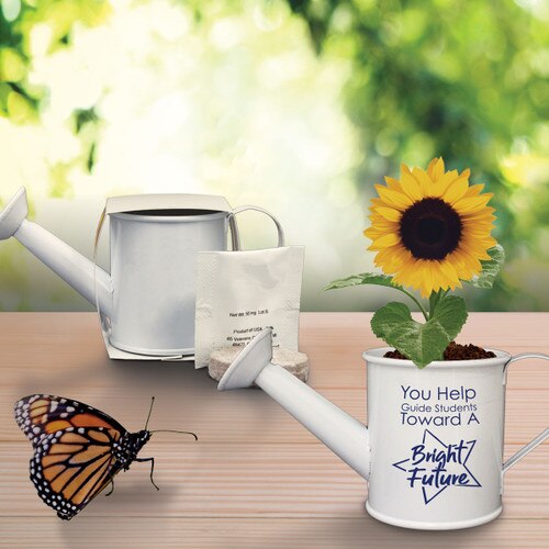 thyme in mini watering can with a butterfly