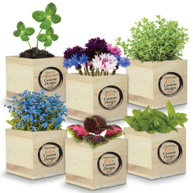 Add Your School Logo Or Mascot To The Outside Of This Natural Pine Wood Plant Kit Choice of Seed Packet