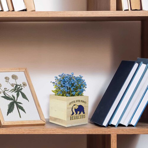 custom wooden cube sitting on a shelf
