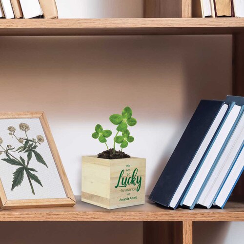 lucky to have you cube sitting on a shelf