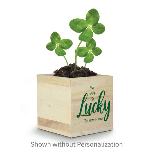 clover in a wooden cube with lucky message