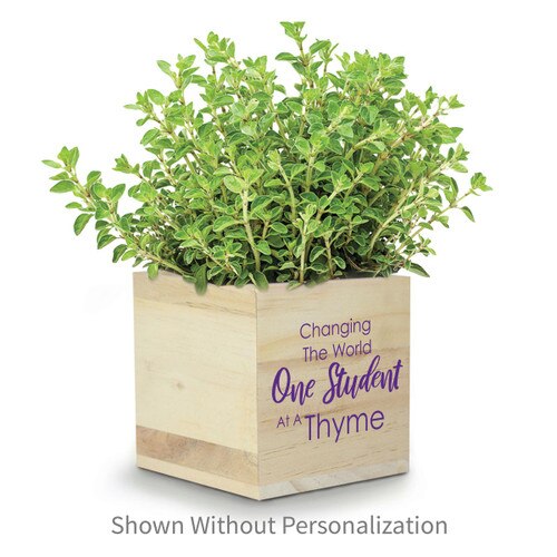 thyme in a wooden cube with one student message