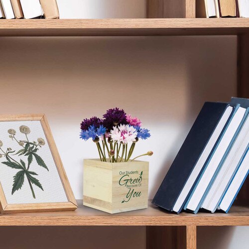 our student grew wooden cube sitting on a shelf