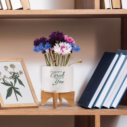 our students grew modern ceramic planter sitting on shelf
